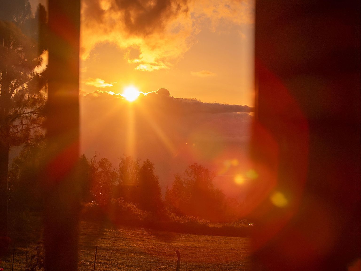 2450 Piiholo Rd Makawao, HI 96768 - Thumbnail 5