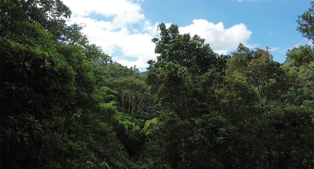 Cam La Vega Orocovis, PR 00720 - Thumbnail 5