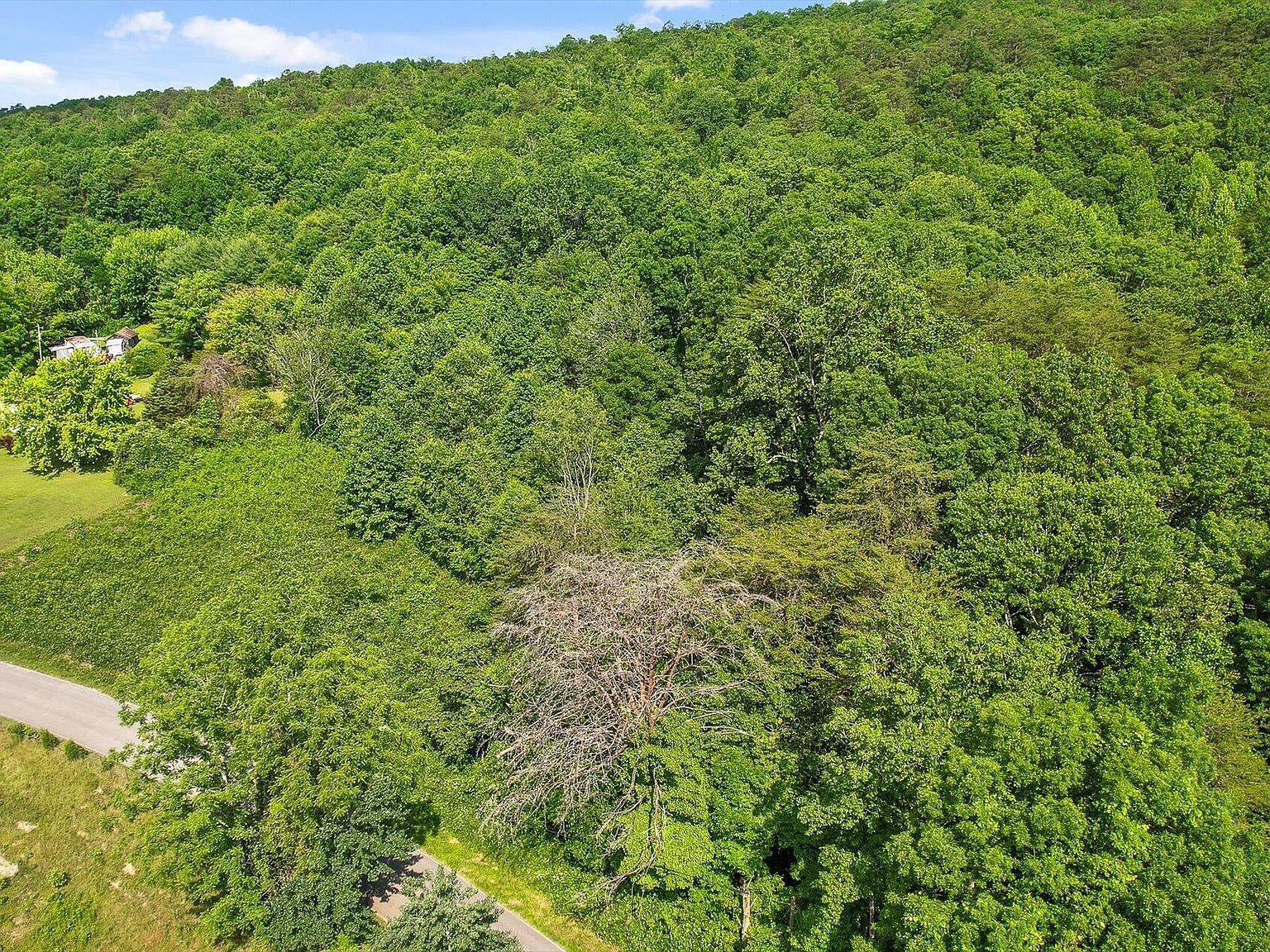 4300 Pocket Rd Whitwell, TN 37397 - Thumbnail 5