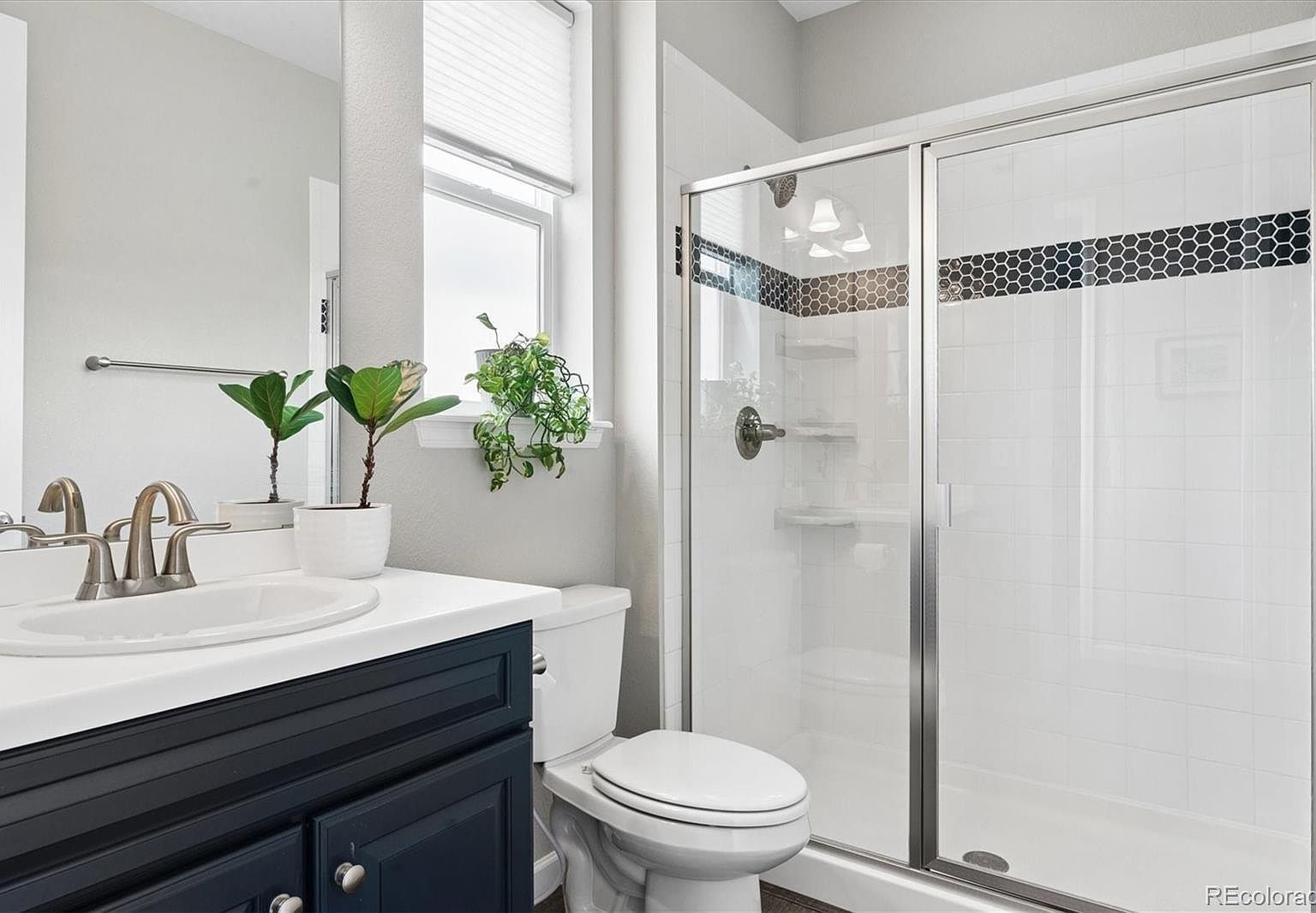 8006 Blue River Ave Littleton, CO 80125 - Thumbnail 5