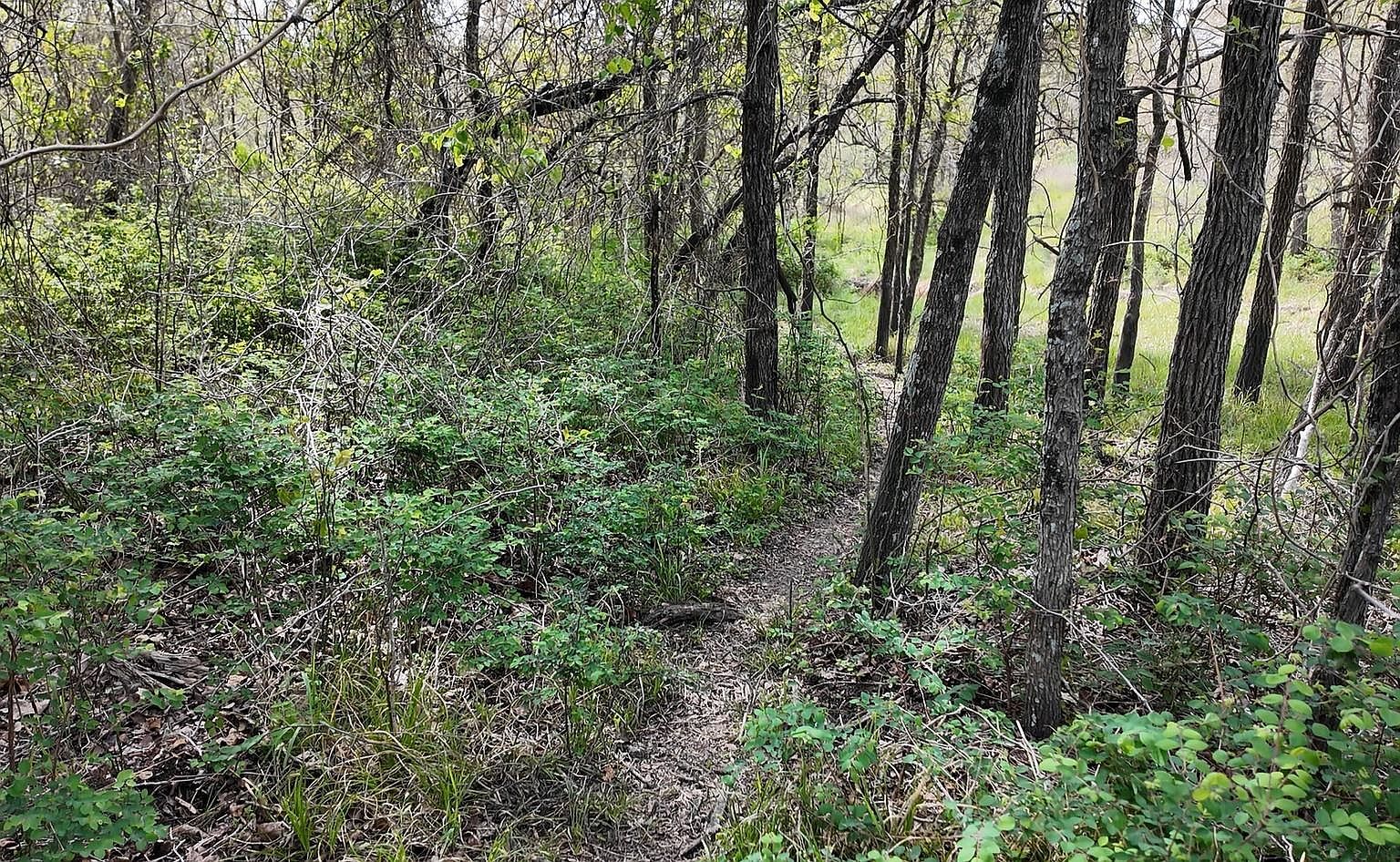 144 County Road 219 Cameron, TX 76520 - Thumbnail 5