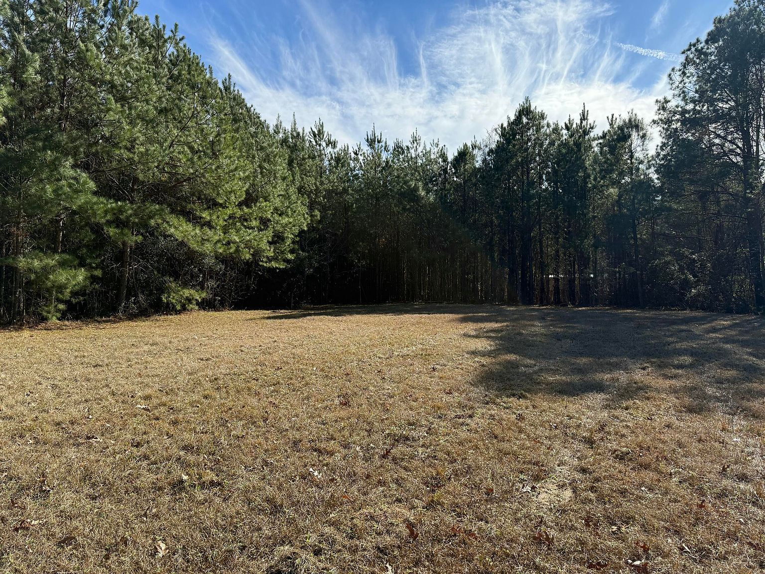 0 Cameron Dr Ridgeville, SC 29472 - Thumbnail 5