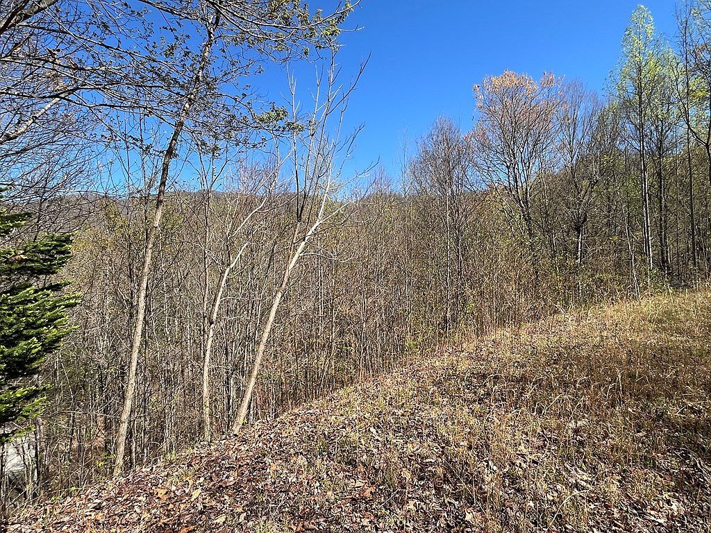 359 Loon Ln Whittier, NC 28789 - Thumbnail 5