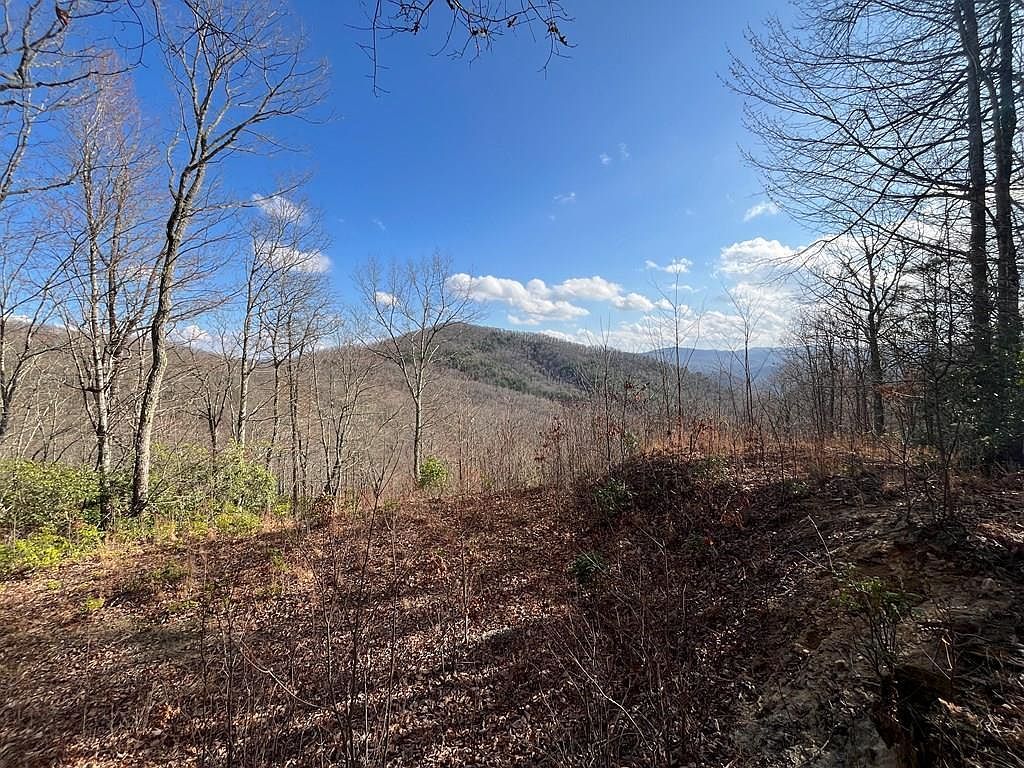 0 Crisscross Ln #20-21 Tuckasegee, NC 28783 - Thumbnail 5