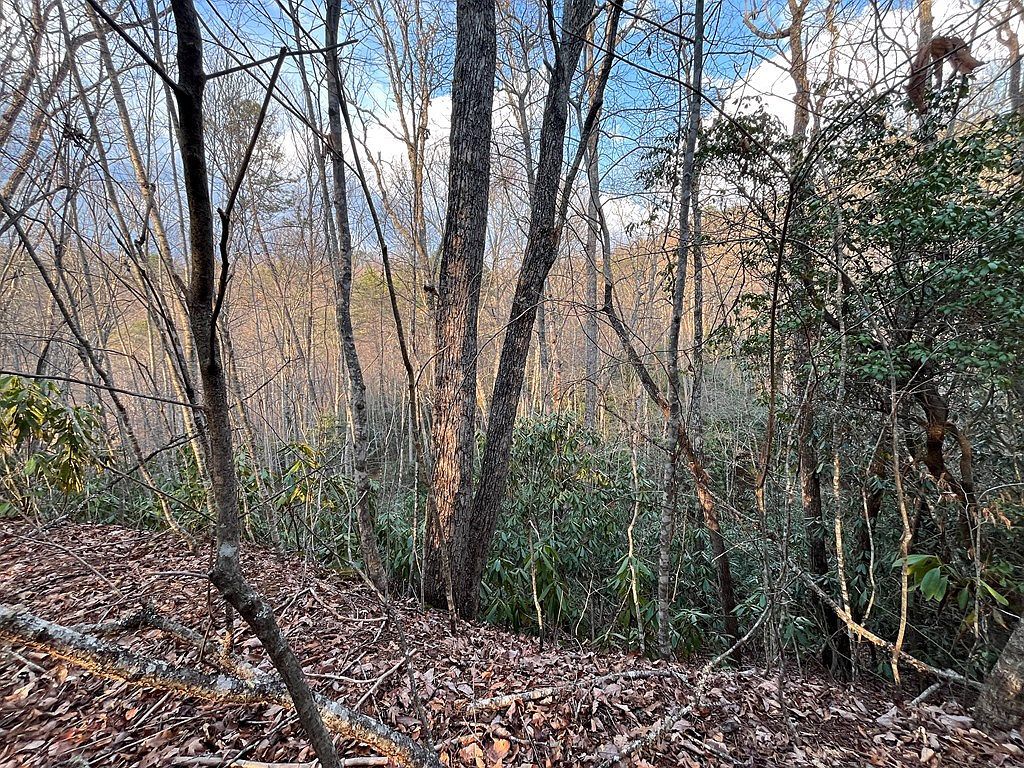 70 Canvasback Ct Whittier, NC 28789 - Thumbnail 5