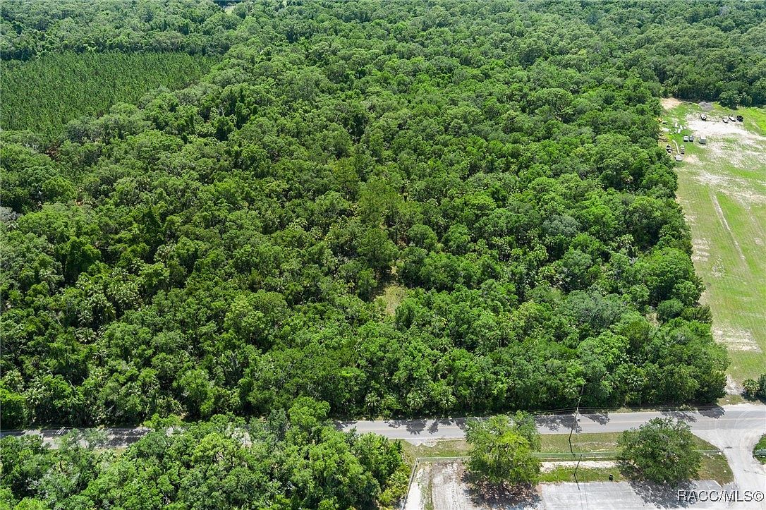 6550 N Tallahassee Rd Crystal River, FL 34428 - Thumbnail 5