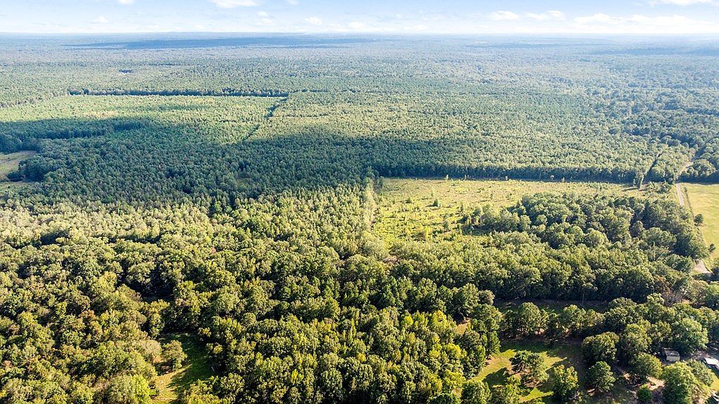 0 County Road 4223 Simms, TX 75574 - Thumbnail 5