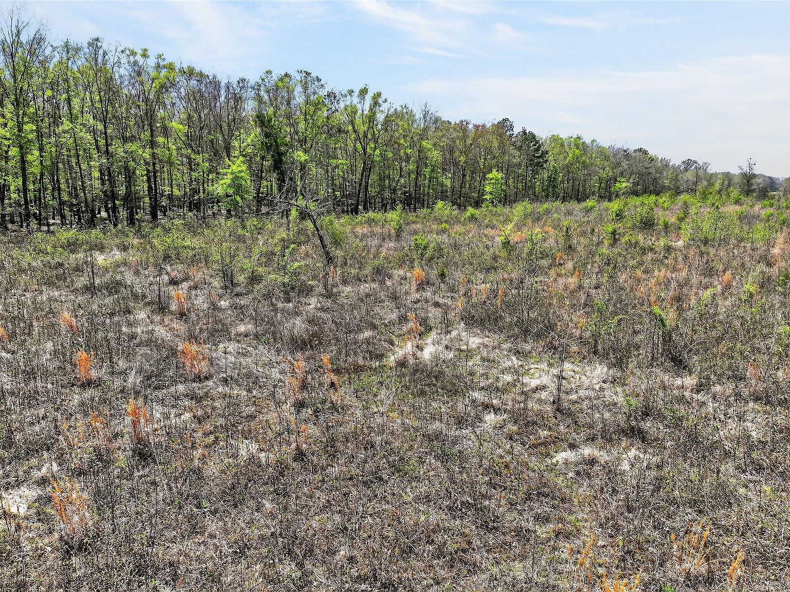 14/ACRE S County Road 4223 Simms, TX 75574 - Thumbnail 5