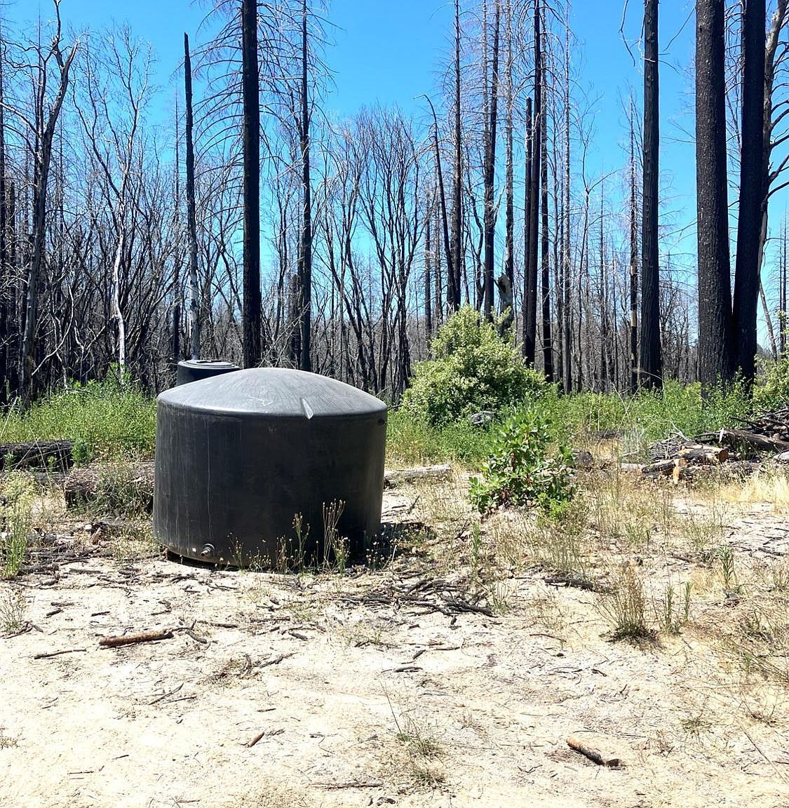 35 Bromilow Ln Berry Creek, CA 95916 - Thumbnail 5