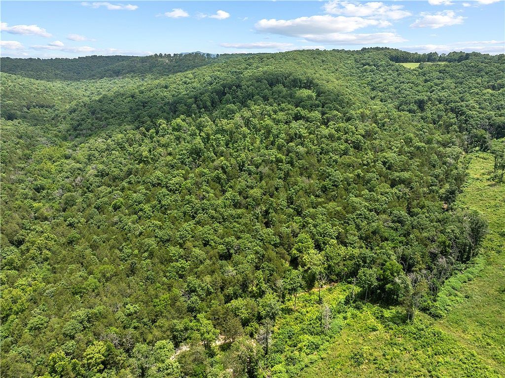 0 Nc 2900 Ave Marble Falls, AR 72648 - Thumbnail 5