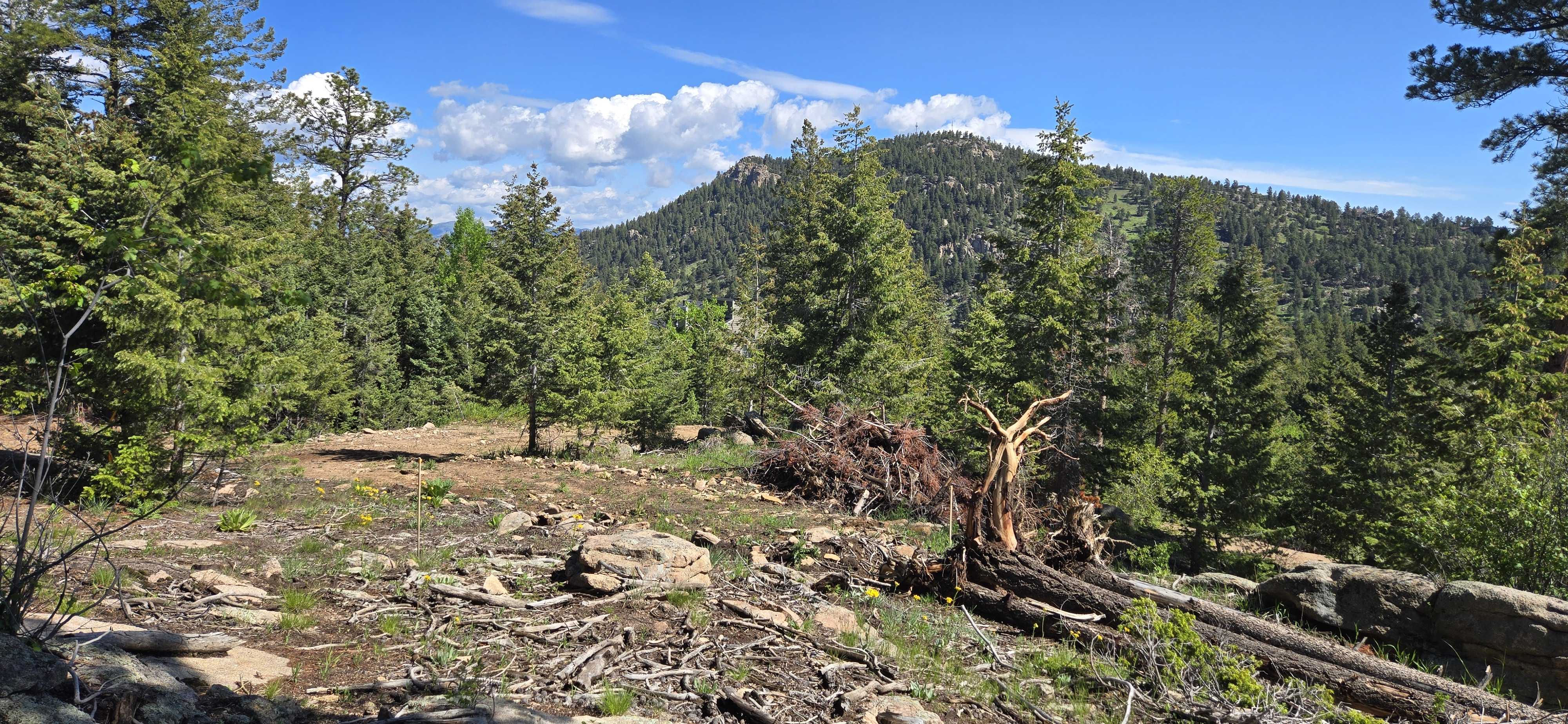 4761 Northwood Dr, Evergreen, CO, USA, 80439 - Thumbnail 5