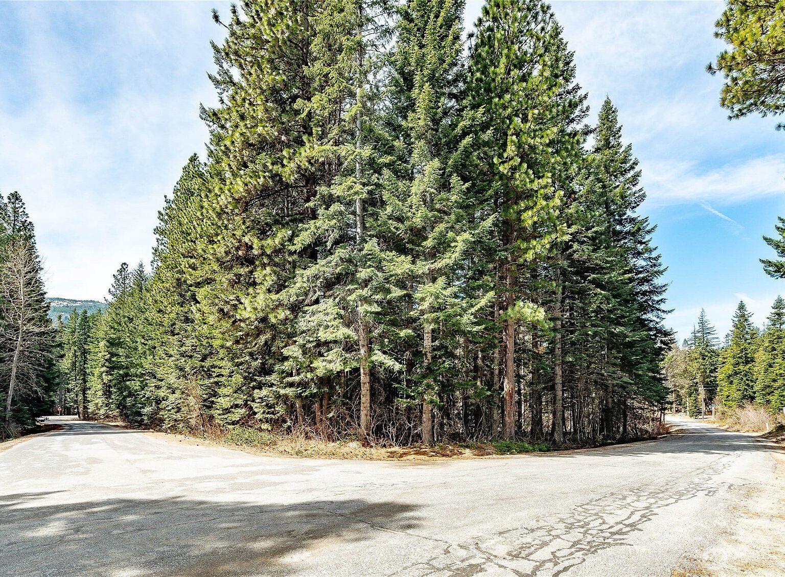 1111 Nason Ridge Rd Leavenworth, WA 98826 - Thumbnail 5