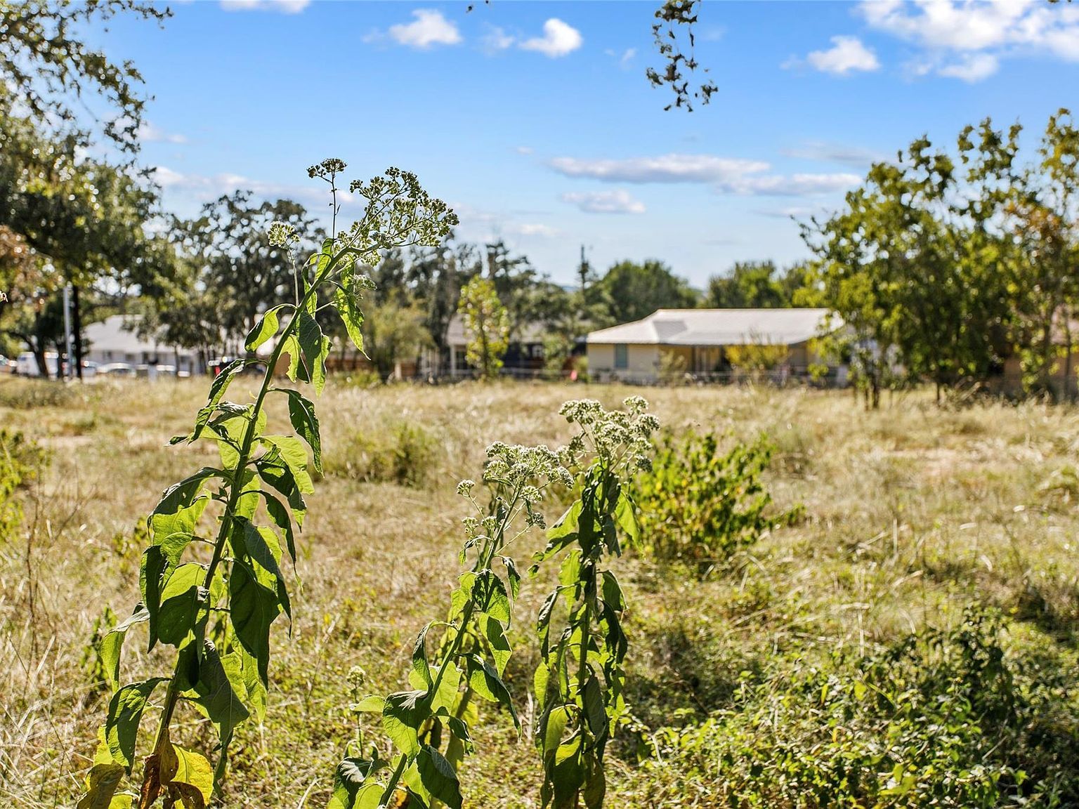 1316 Greenlawn Pkwy Blanco, TX 78606 - Thumbnail 5
