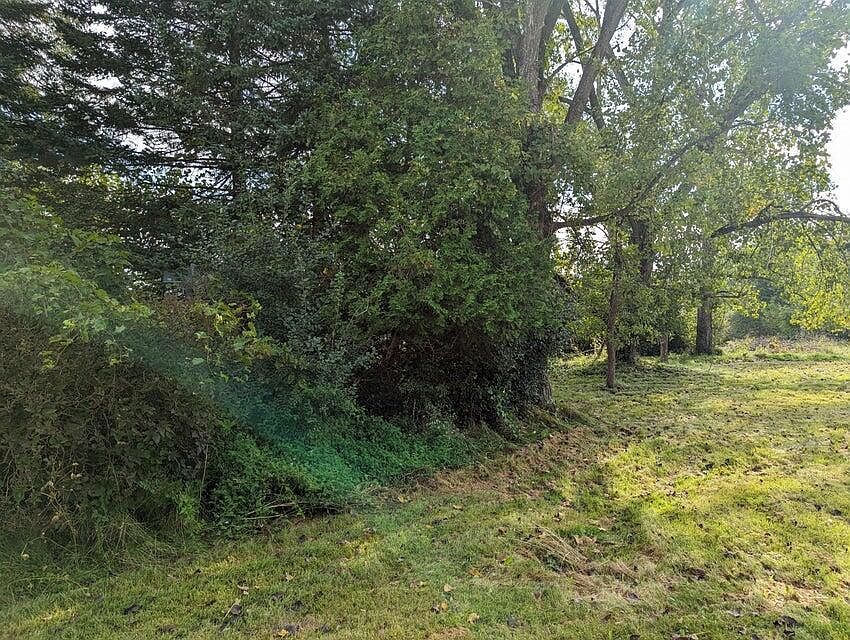 Sisco St Westport, NY 12993 - Thumbnail 5