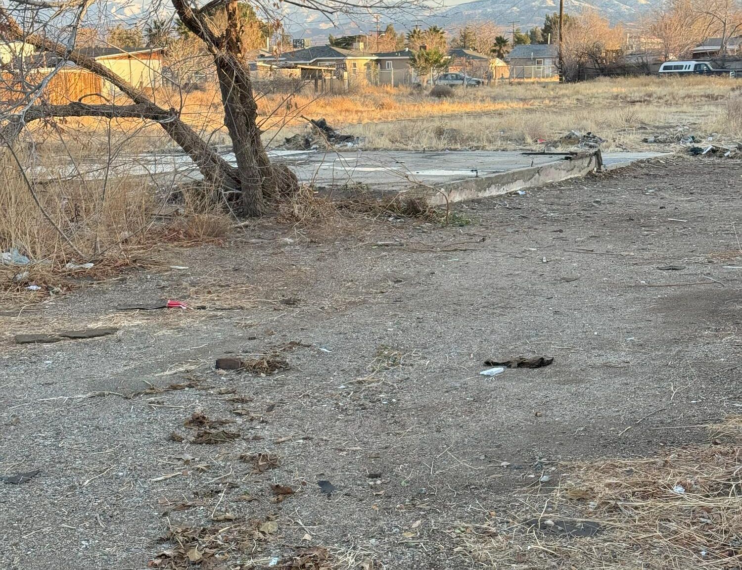 1326 E Avenue Q Palmdale, CA 93550 - Thumbnail 5