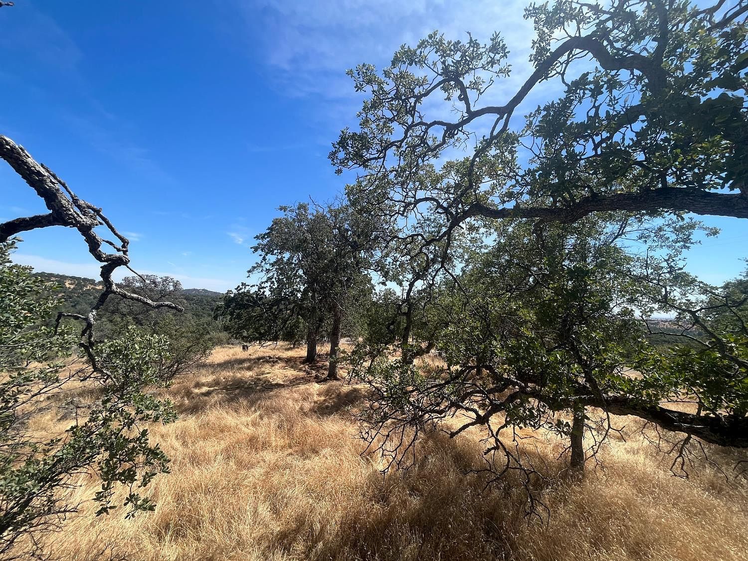 3301 Clavel Way Coulterville, CA 95311 - Thumbnail 5