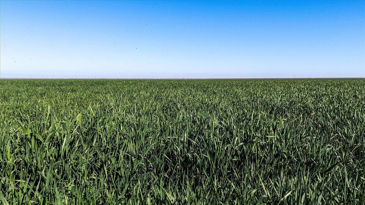 1642 Avenue 21 Chowchilla, CA 93610 - Thumbnail 5