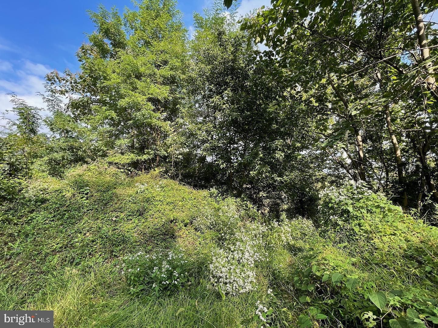 403 N Sycamore Ave Clifton Heights, PA 19018 - Thumbnail 5