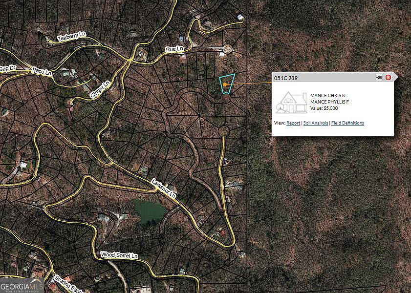 LOT 846 Larkspur Ln Clayton, GA 30525 - Thumbnail 5