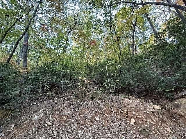 0 Wood Sorrel Ln #727 Clayton, GA 30525 - Thumbnail 5