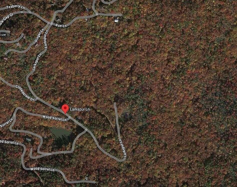 LOT 84 Larkspur Ln #846 Clayton, GA 30525 - Thumbnail 5