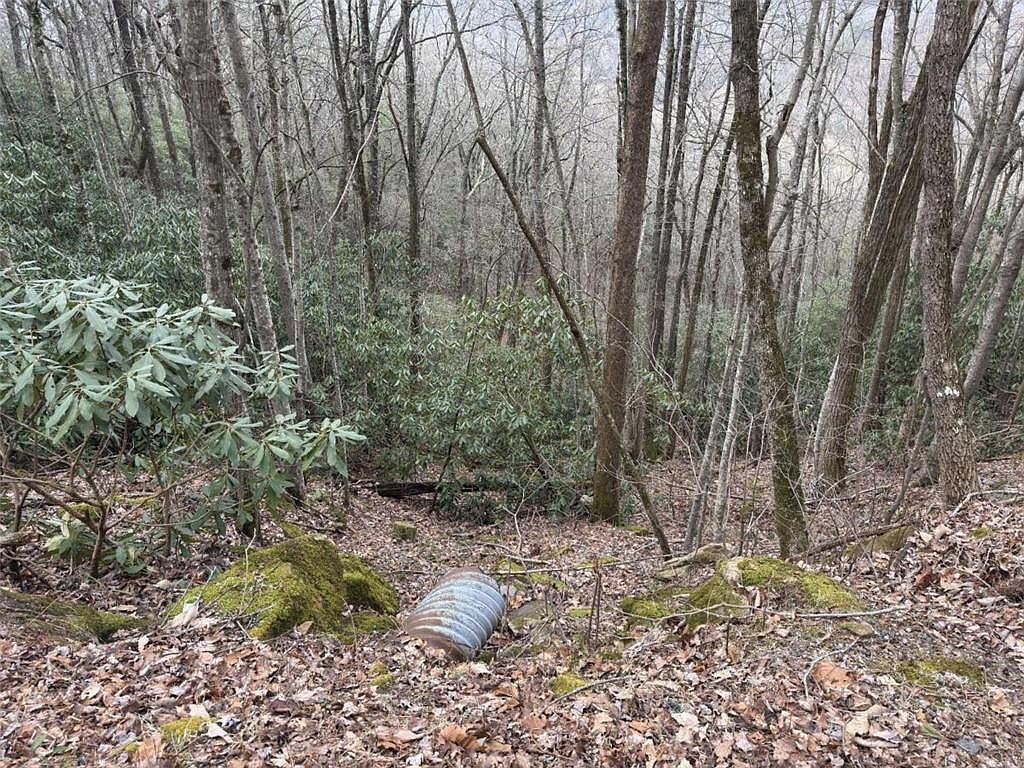 416 Screamer Dr Clayton, GA 30525 - Thumbnail 5