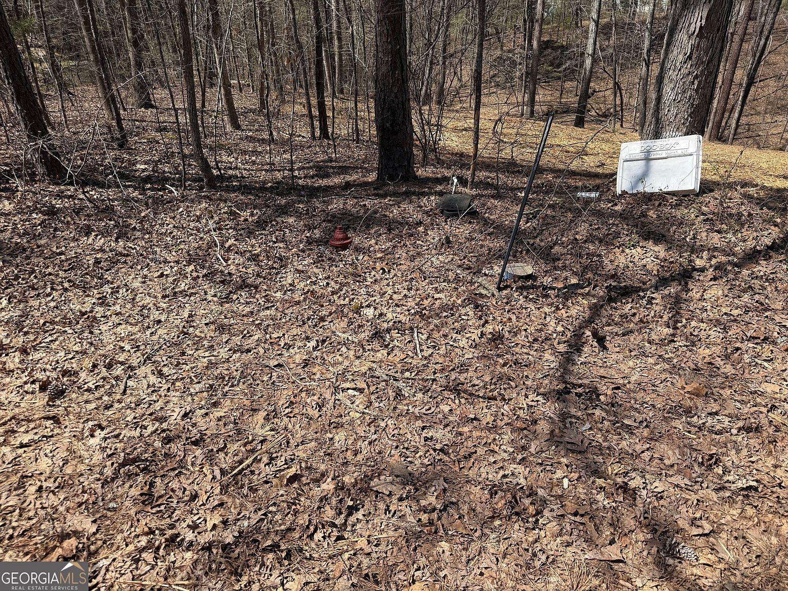 38 Killdeer Ln Monticello, GA 31064 - Thumbnail 5