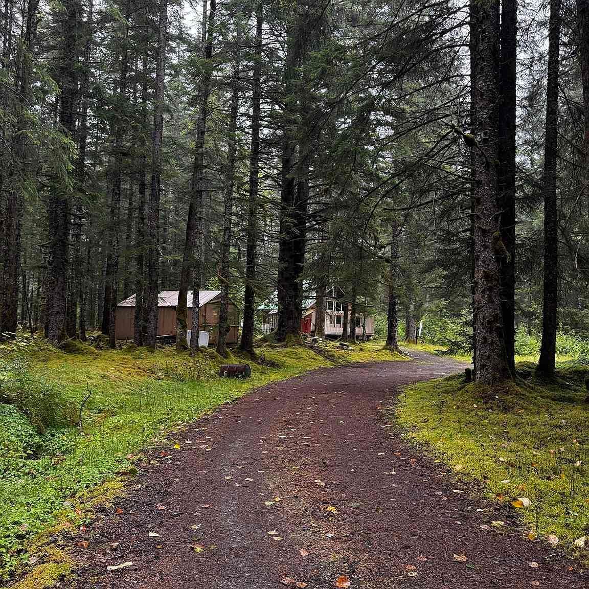 7 Parker Dr Gustavus, AK 99826 - Thumbnail 5