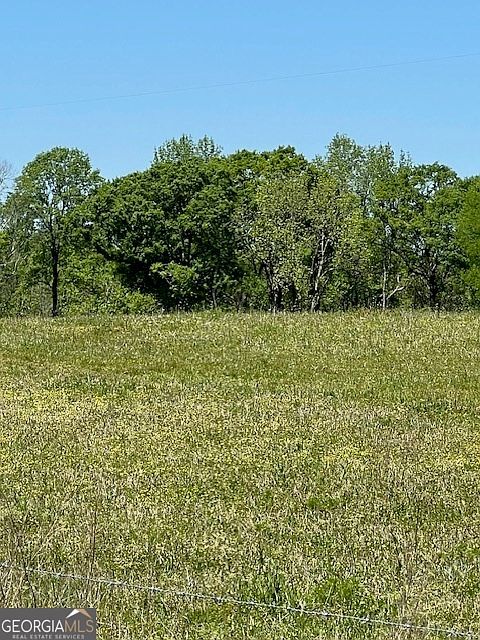 704 Old Milner Rd Barnesville, GA 30204 - Thumbnail 5