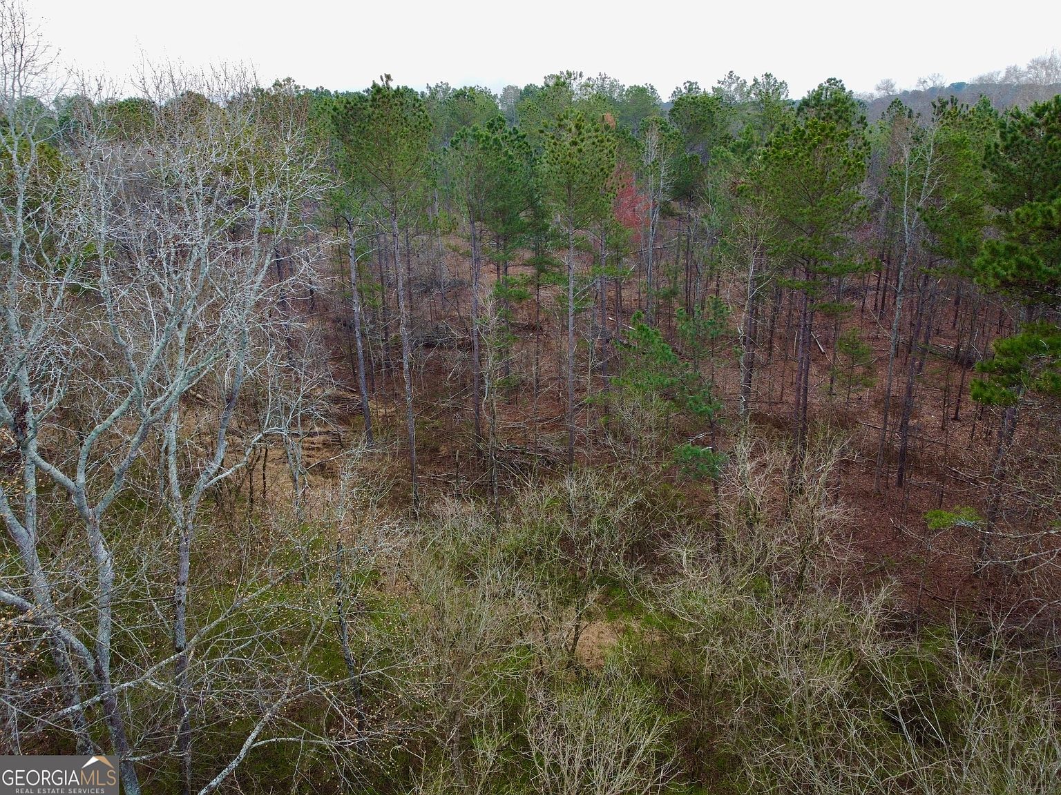 5555 Highway 186 Good Hope, GA 30641 - Thumbnail 5