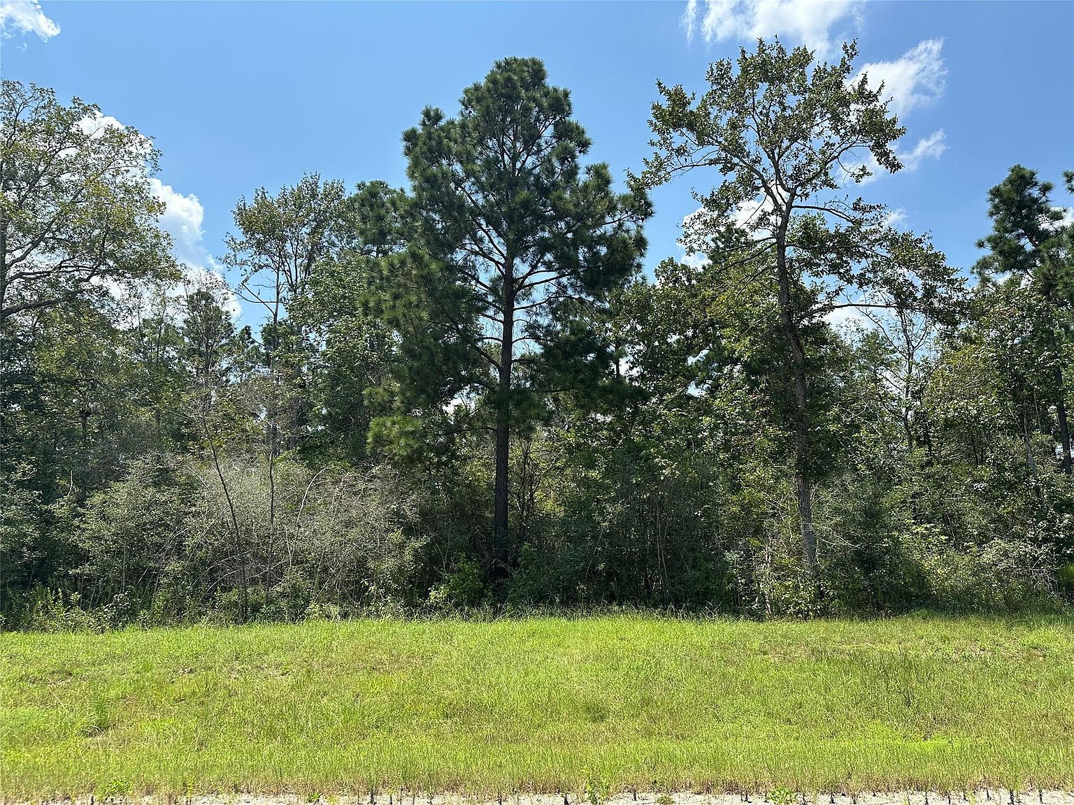 377 Exploration Rd New Waverly, TX 77358 - Thumbnail 5