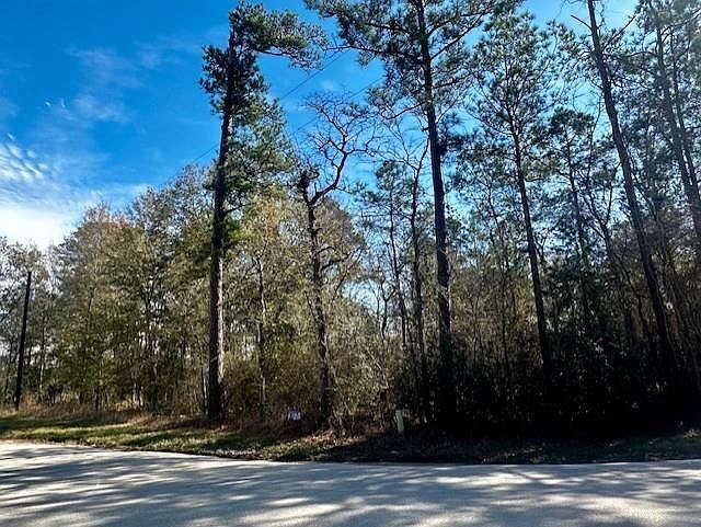 N/a Robinhood Ct/robinhood Ln Lot 2 Hockley, TX 77447 - Thumbnail 5