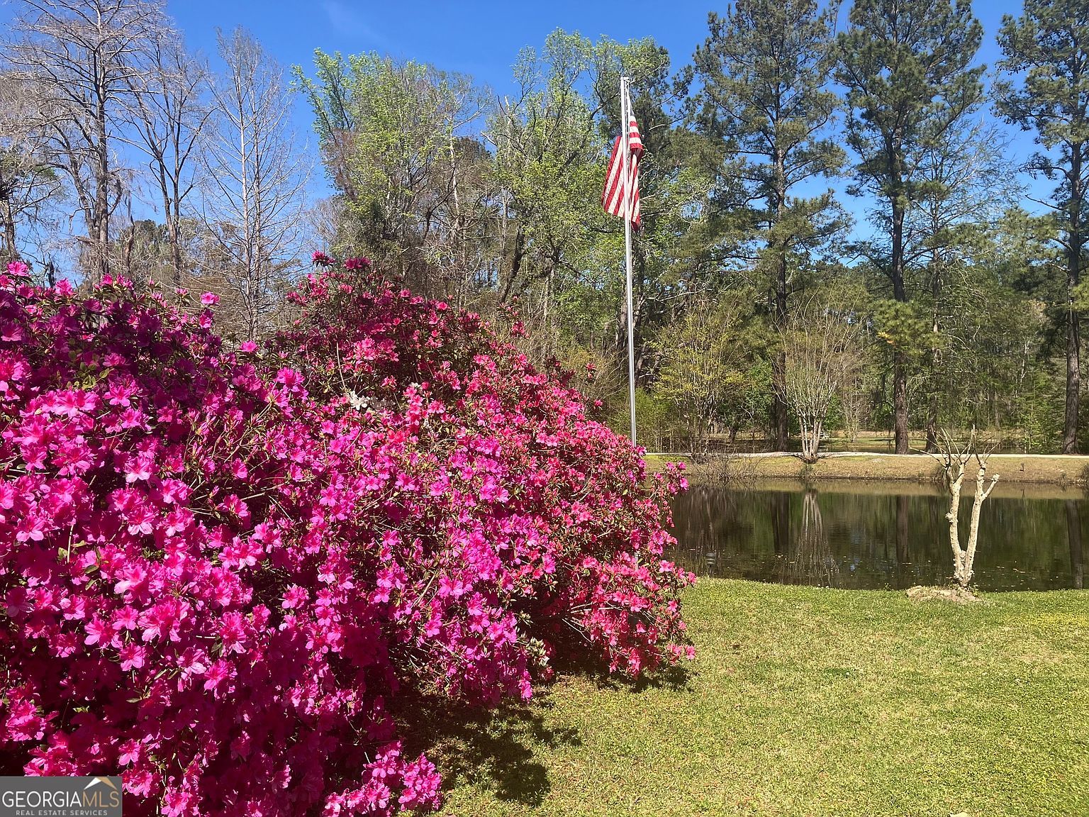 113 Flamingo Ln Statesboro, GA 30461 - Thumbnail 5