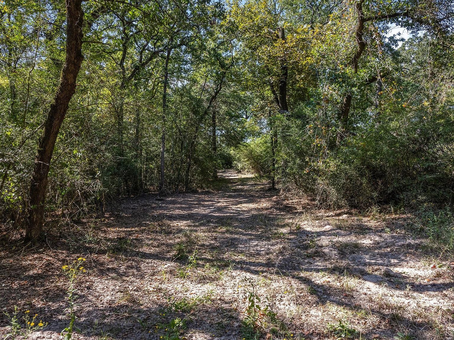 3180 Fm 1940 Franklin, TX 77856 - Thumbnail 5