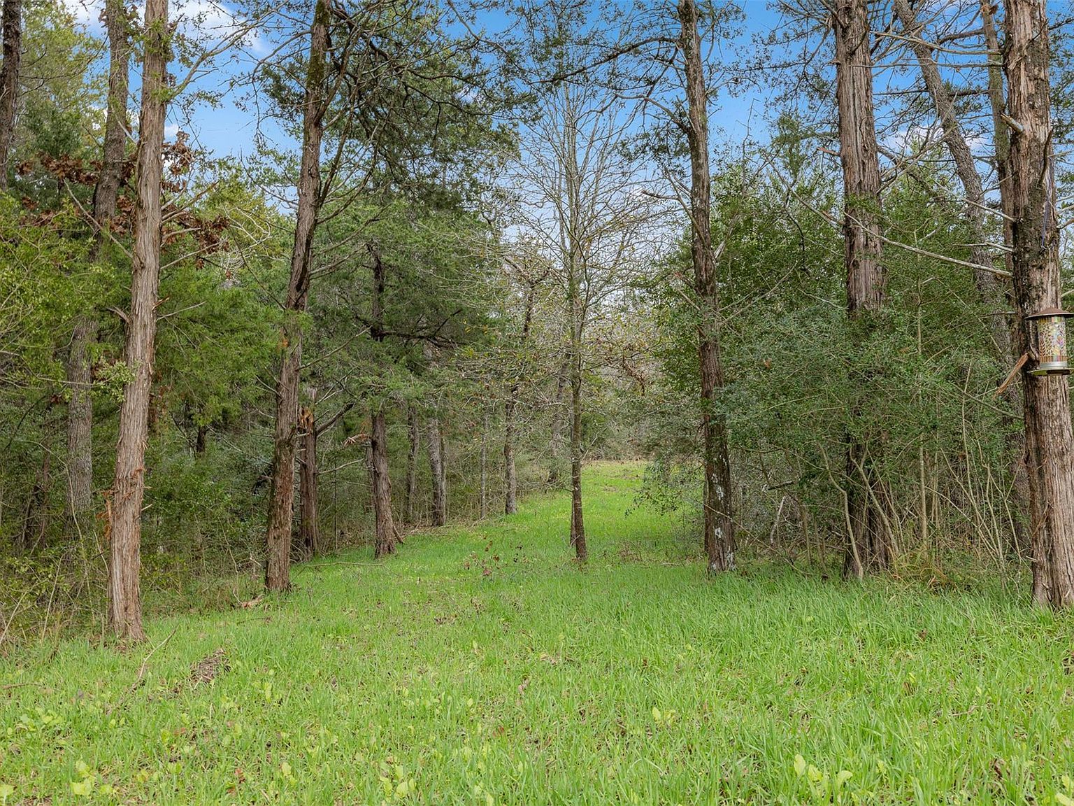 Private Road 3891 Marquez, TX 77865 - Thumbnail 5