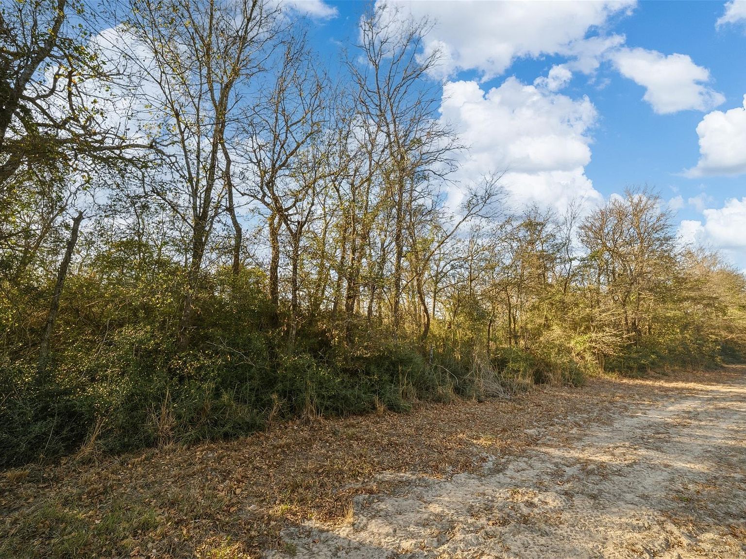 W Fm 979 Franklin, TX 77856 - Thumbnail 5