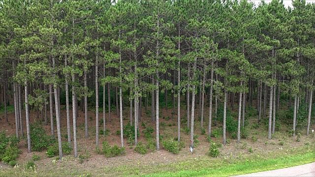 391 Twin Lakes Trl #5 Nekoosa, WI 54457 - Thumbnail 5