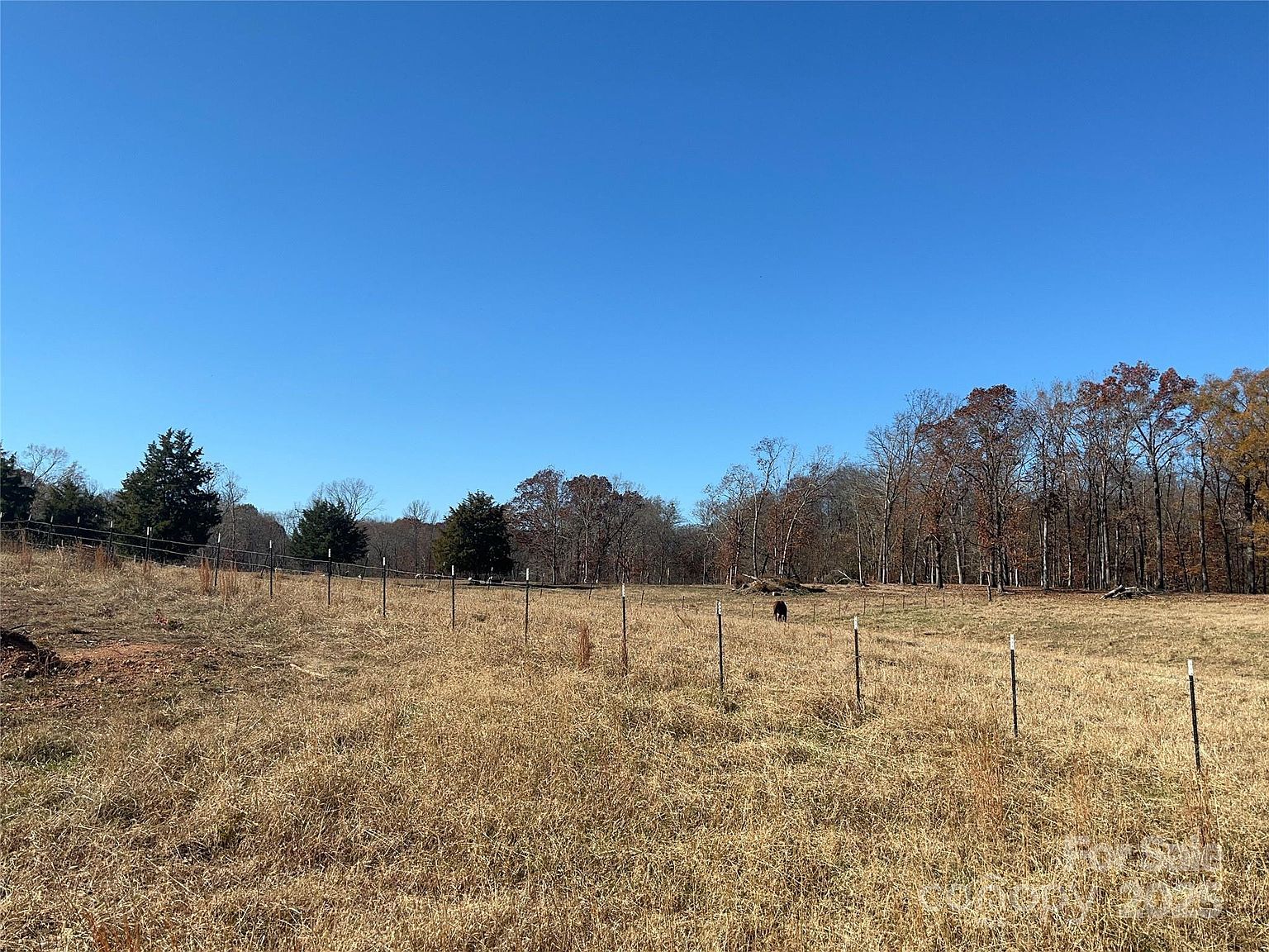 0 Misty Pond Rd Marshville, NC 28103 - Thumbnail 5