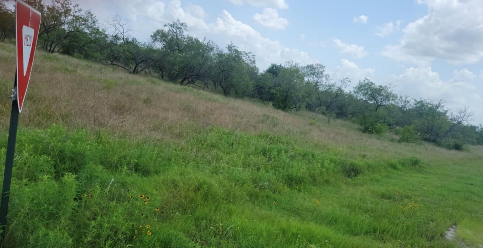 LOT 118 Palmito Ranch Rd Corsicana, TX 75110 - Thumbnail 5