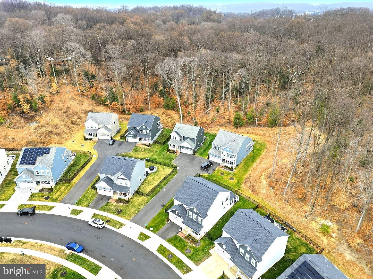 17751 White Campion Way Dumfries, VA 22026 - Thumbnail 5