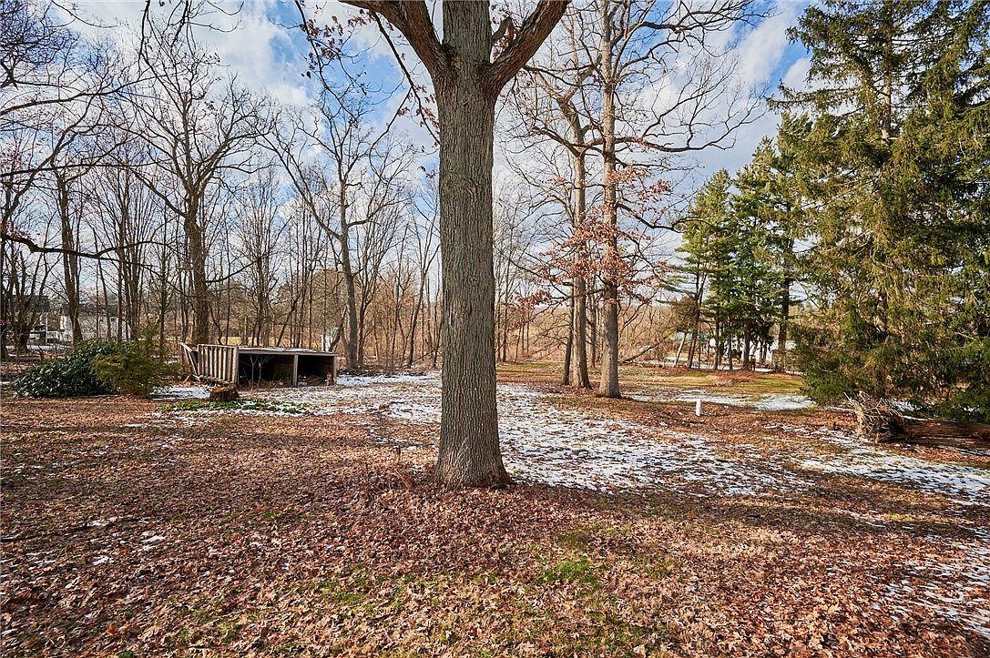 331 Winfield Rd Cabot, PA 16023 - Thumbnail 5