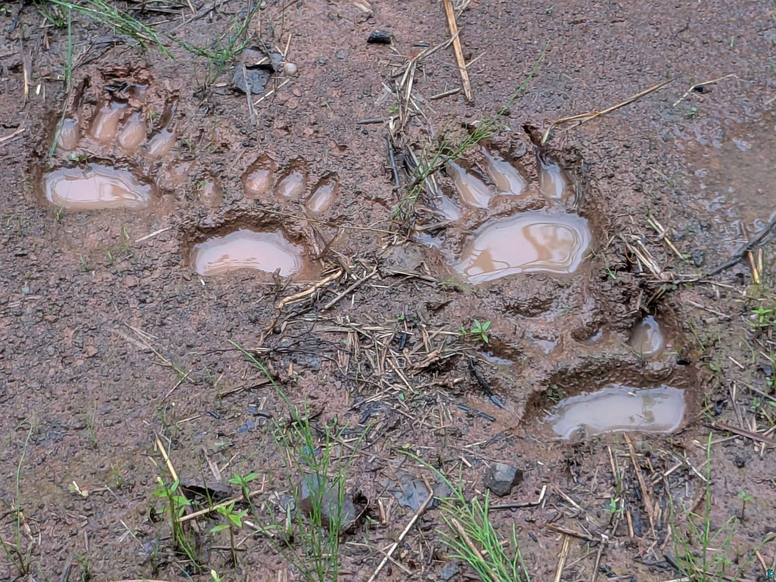 S County Line Rd Brule, WI 54820 - Thumbnail 5