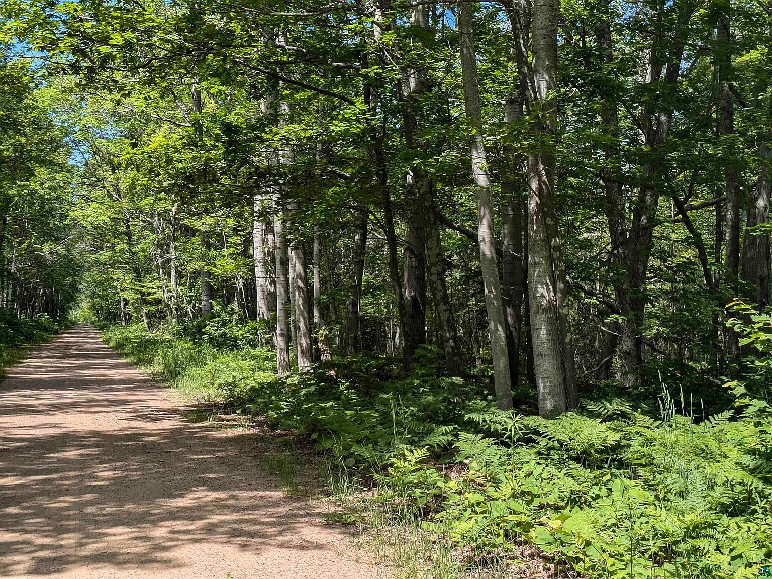 1 State Highway 13 Pt Wing, WI 54865 - Thumbnail 5