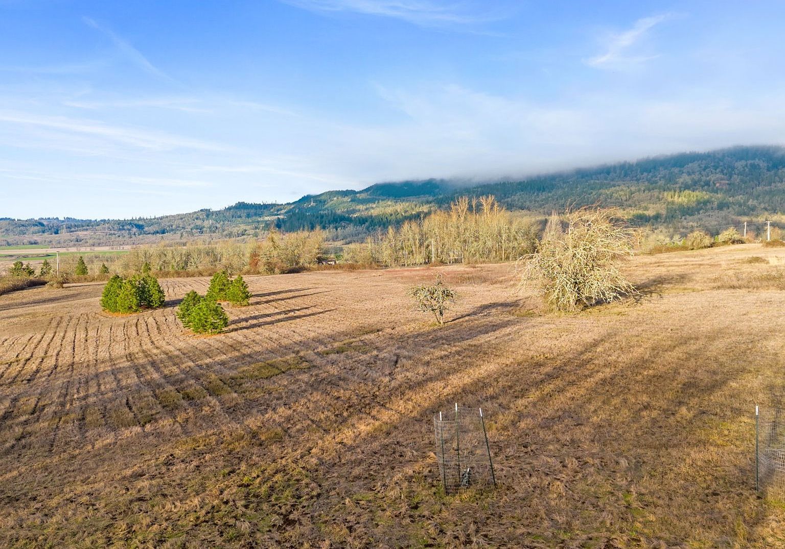 Diamond Ridge Loop Eugene, OR 97408 - Thumbnail 5