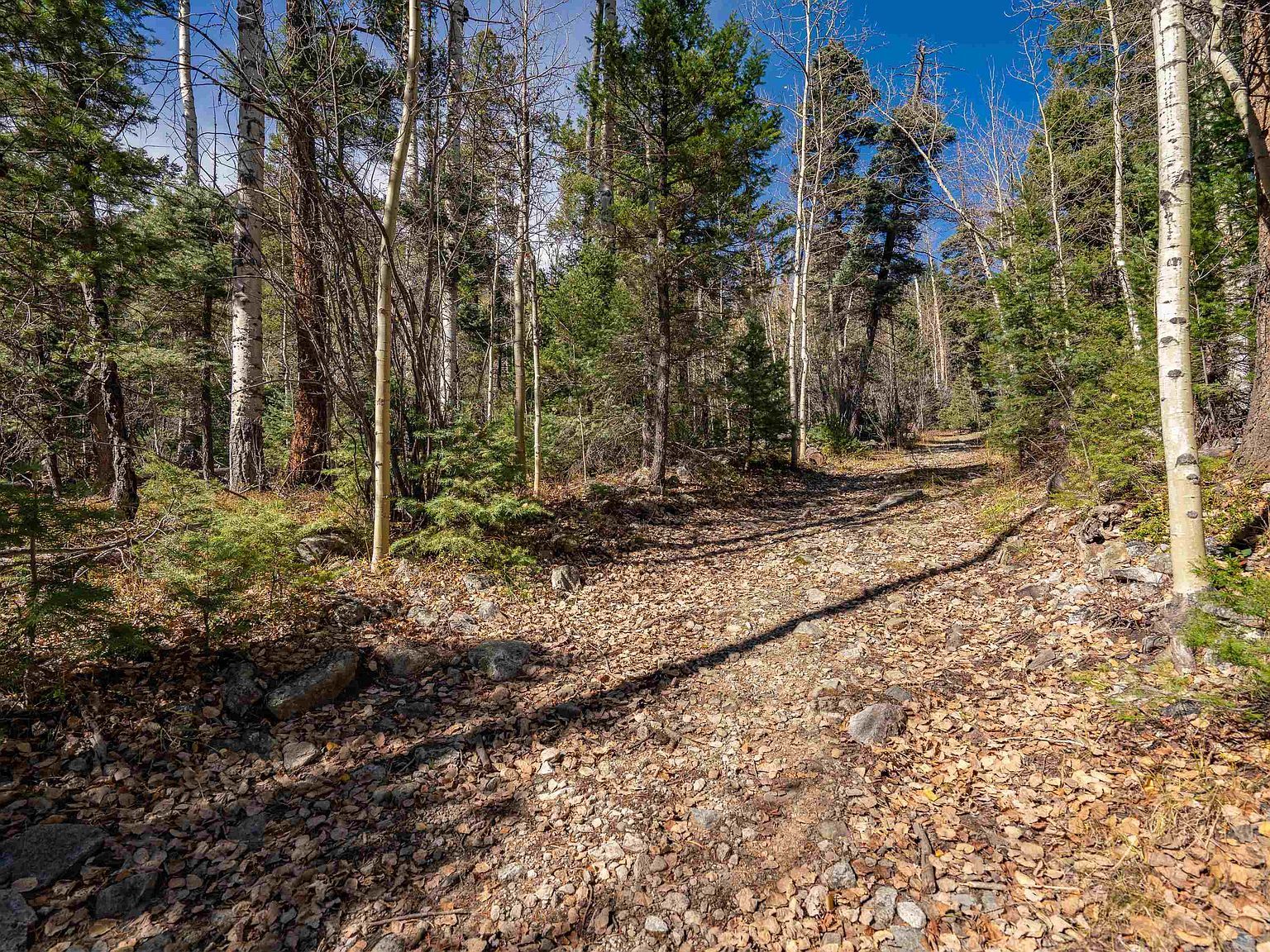 LOT 3 Emma Rd Taos Ski Valley, NM 87525 - Thumbnail 5