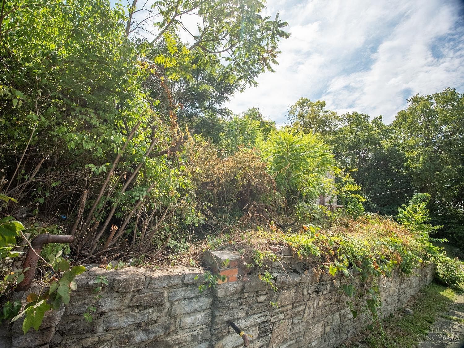 2224 Iowa Ave Cincinnati, OH 45206 - Thumbnail 5