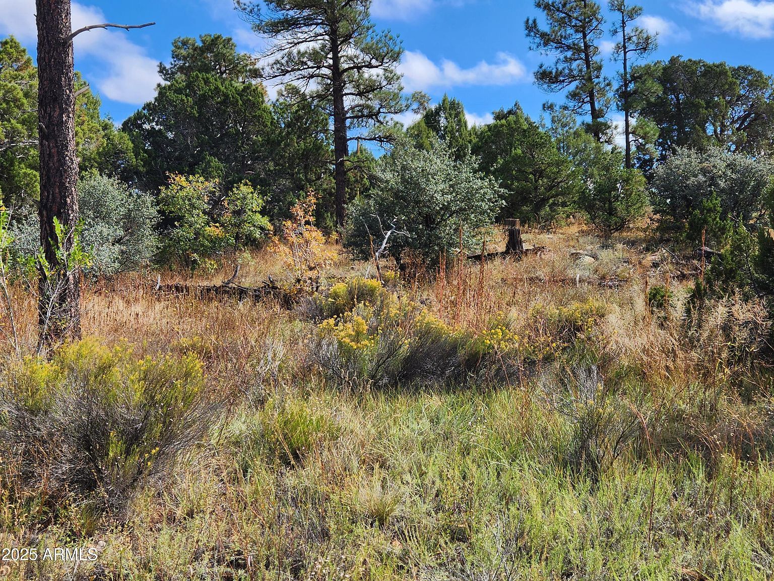 6662 State Route 260 Show Low, AZ 85901 - Thumbnail 5