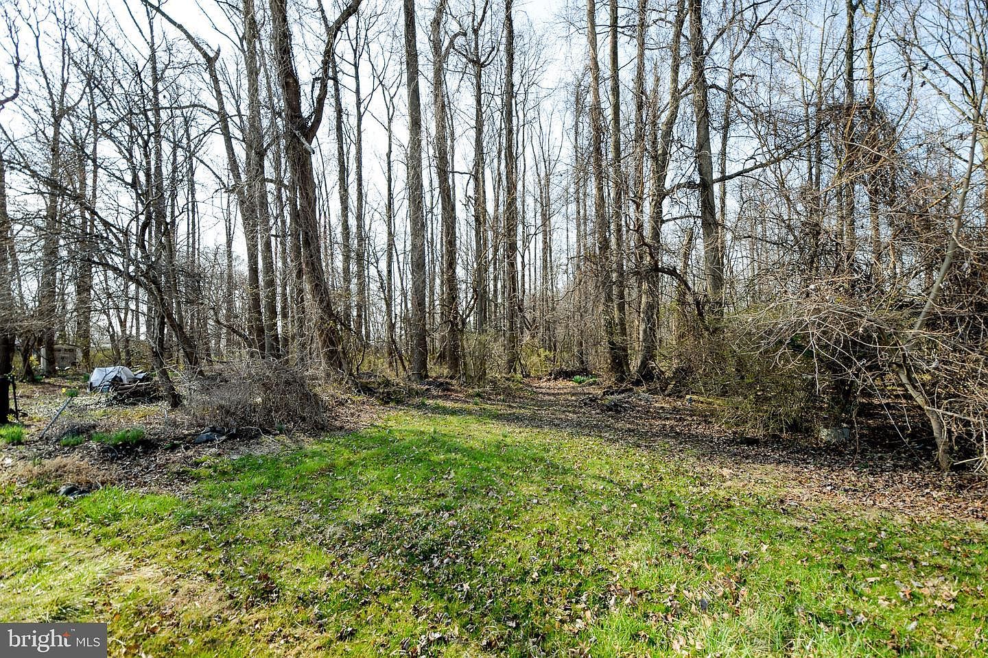 3904 Goose Harbor Rd Middle River, MD 21220 - Thumbnail 5