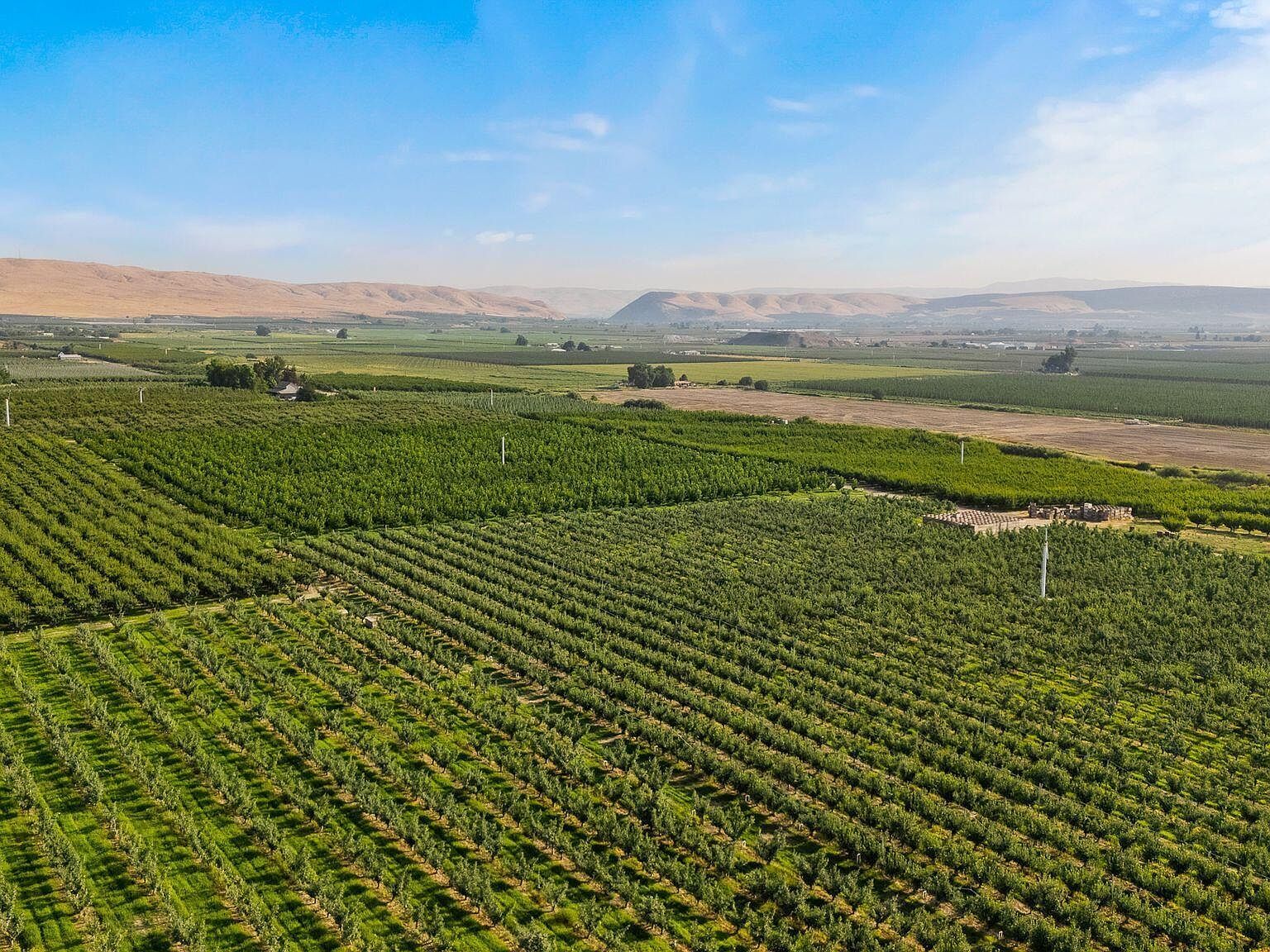 Nka Jones Riggs Rd Wapato, WA 98951 - Thumbnail 5