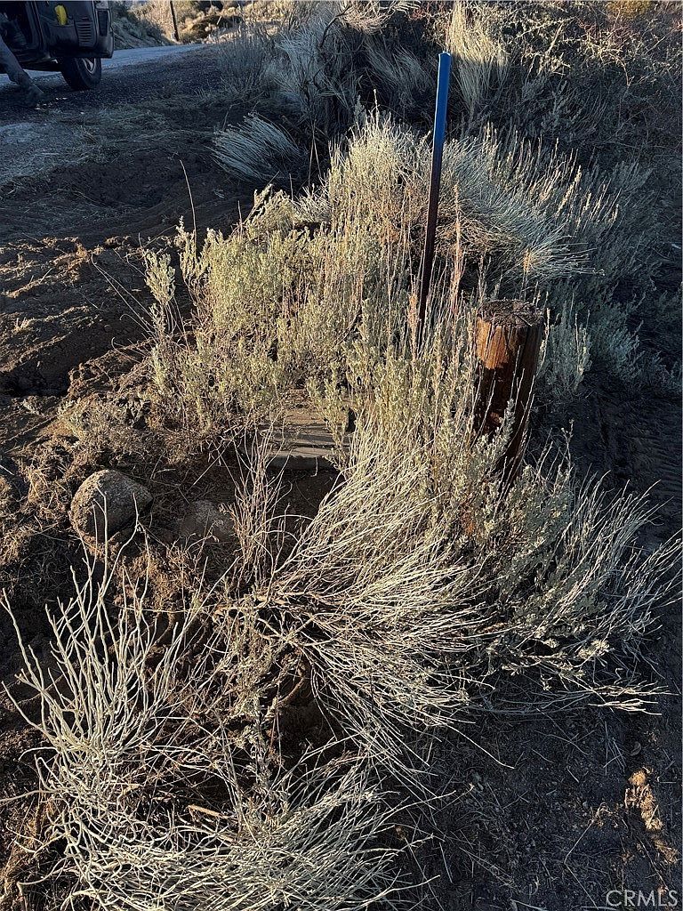 24080 El Rancho Dr Tehachapi, CA 93561 - Thumbnail 5